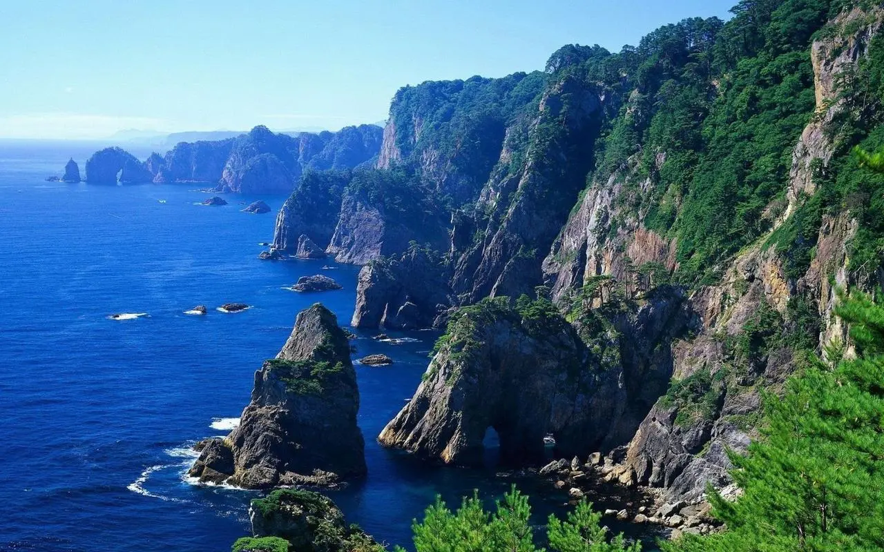 高性能智能化全自动